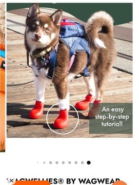 Wagwear Wagwellies - Red